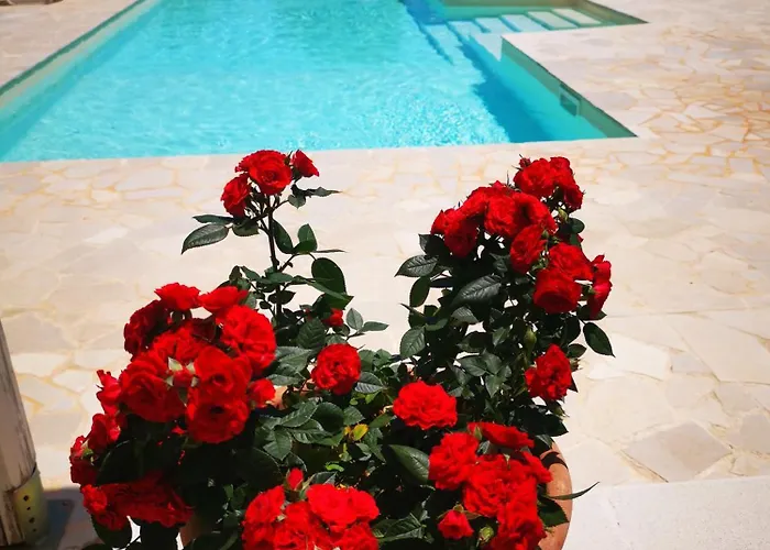 公寓 Trullo Serena Con Uso Piscina